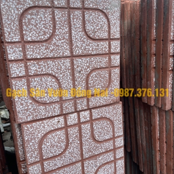 Gạch Terazo DM06