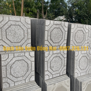 Gạch Terazo DM09