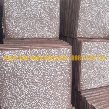 Gạch Terazo DM25
