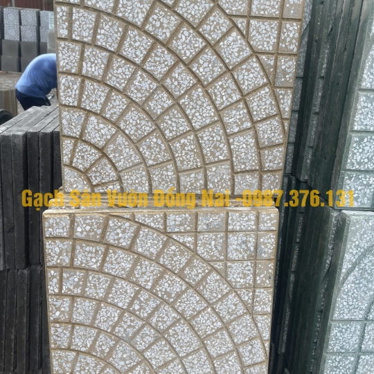 Gạch Terazo DM01