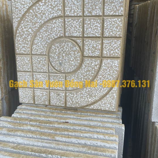 Gạch Terazo DM02