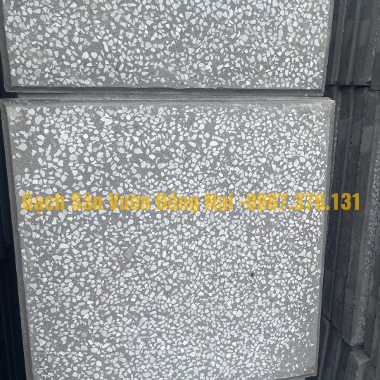 Gạch Terazo DM25